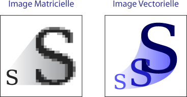 image vectorielle et points d'ancrages