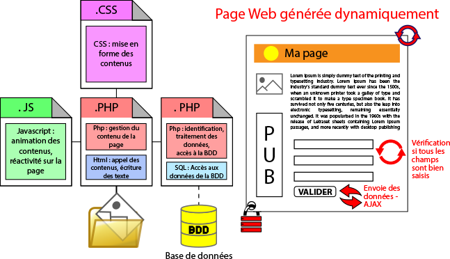 Le rôle du langage HTML, langage CSS, langage JavaScript, langage PHP, Langage SQL